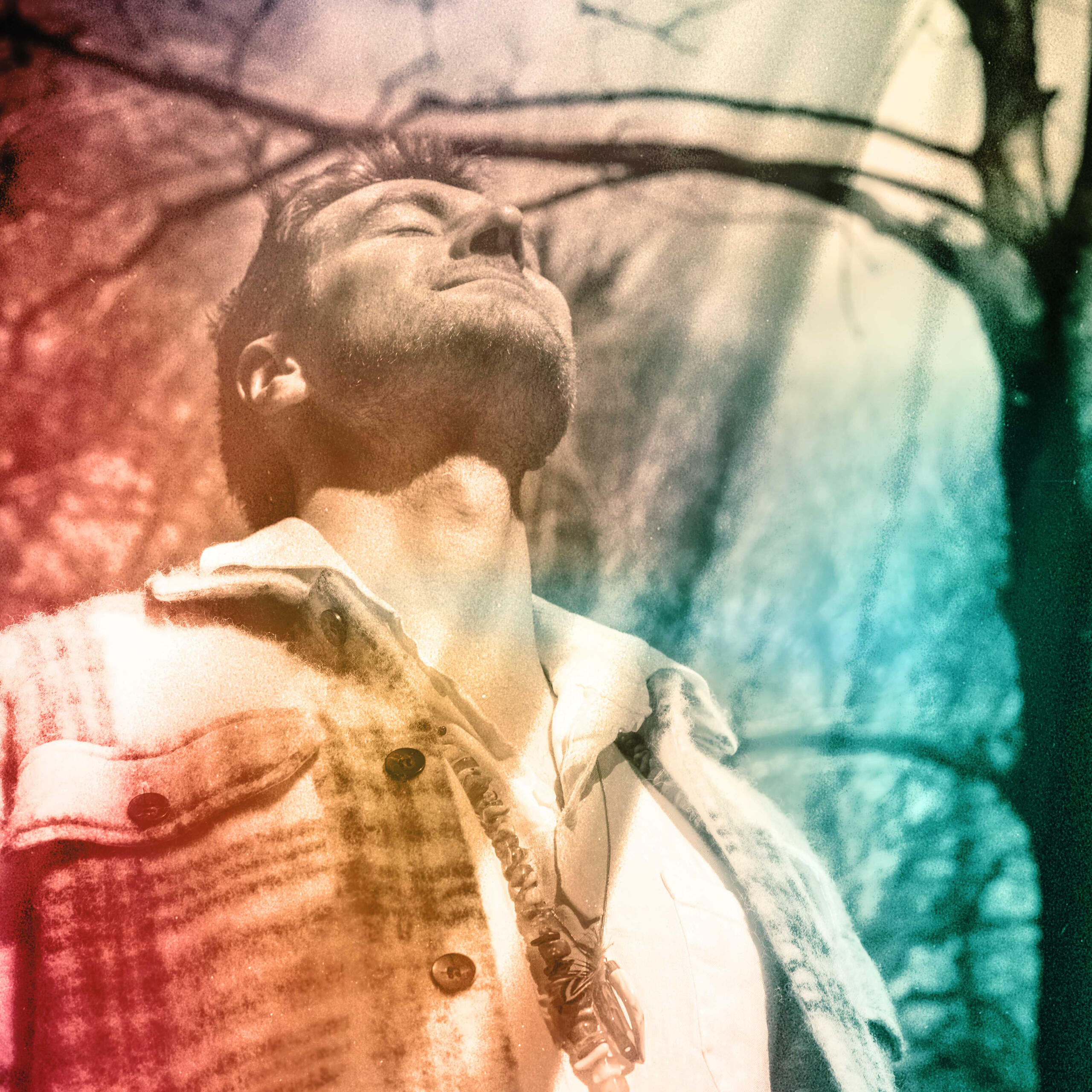 album cover for Liberation, Enda looking into sky with tree in background
